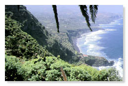 Costa de El Sauzal.  J. L. Martn